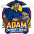 adam chimney services denver